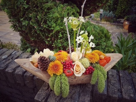 Stees Creations